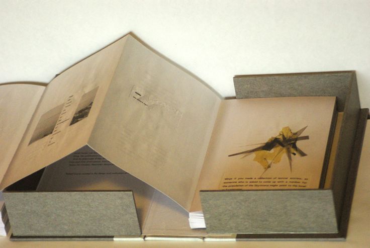 Picture of Anne carson's unfolding book 'Nox'