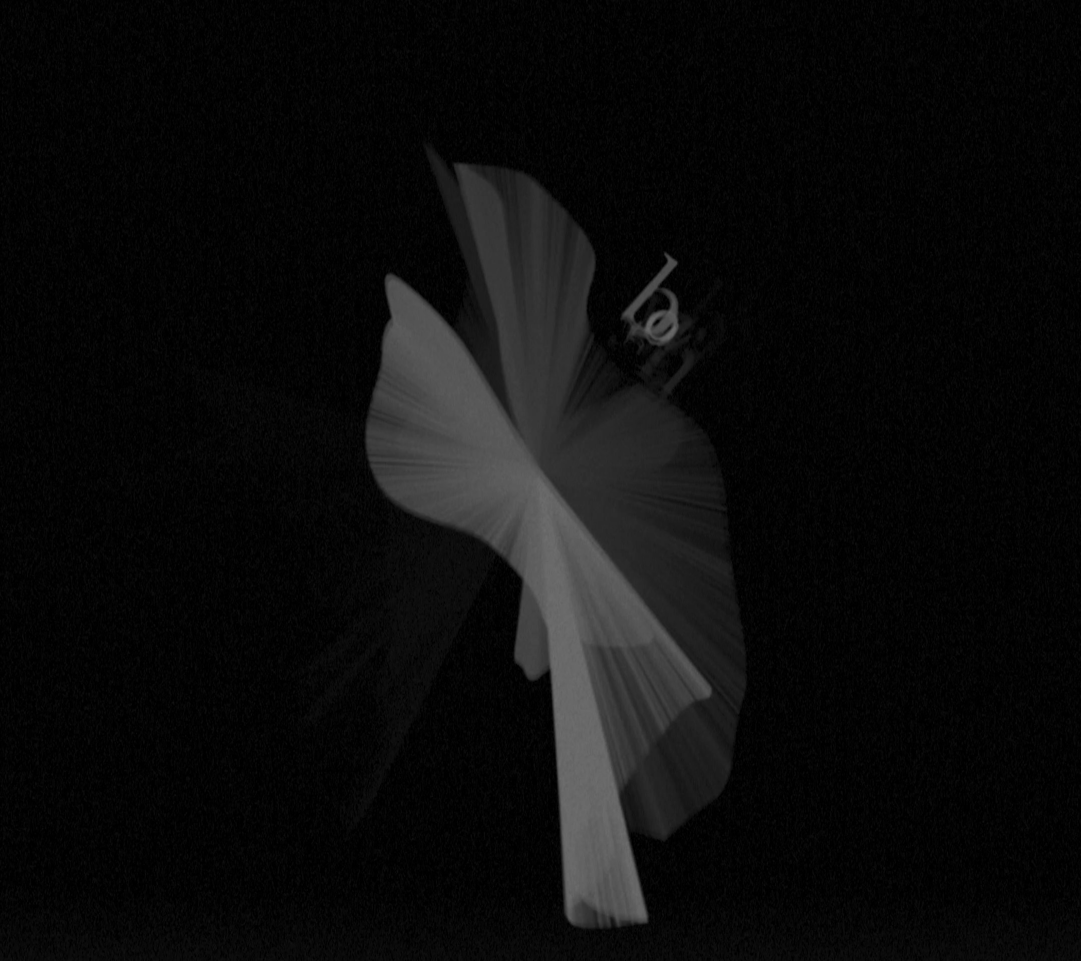 sample projection pattern named Rice Paper Star