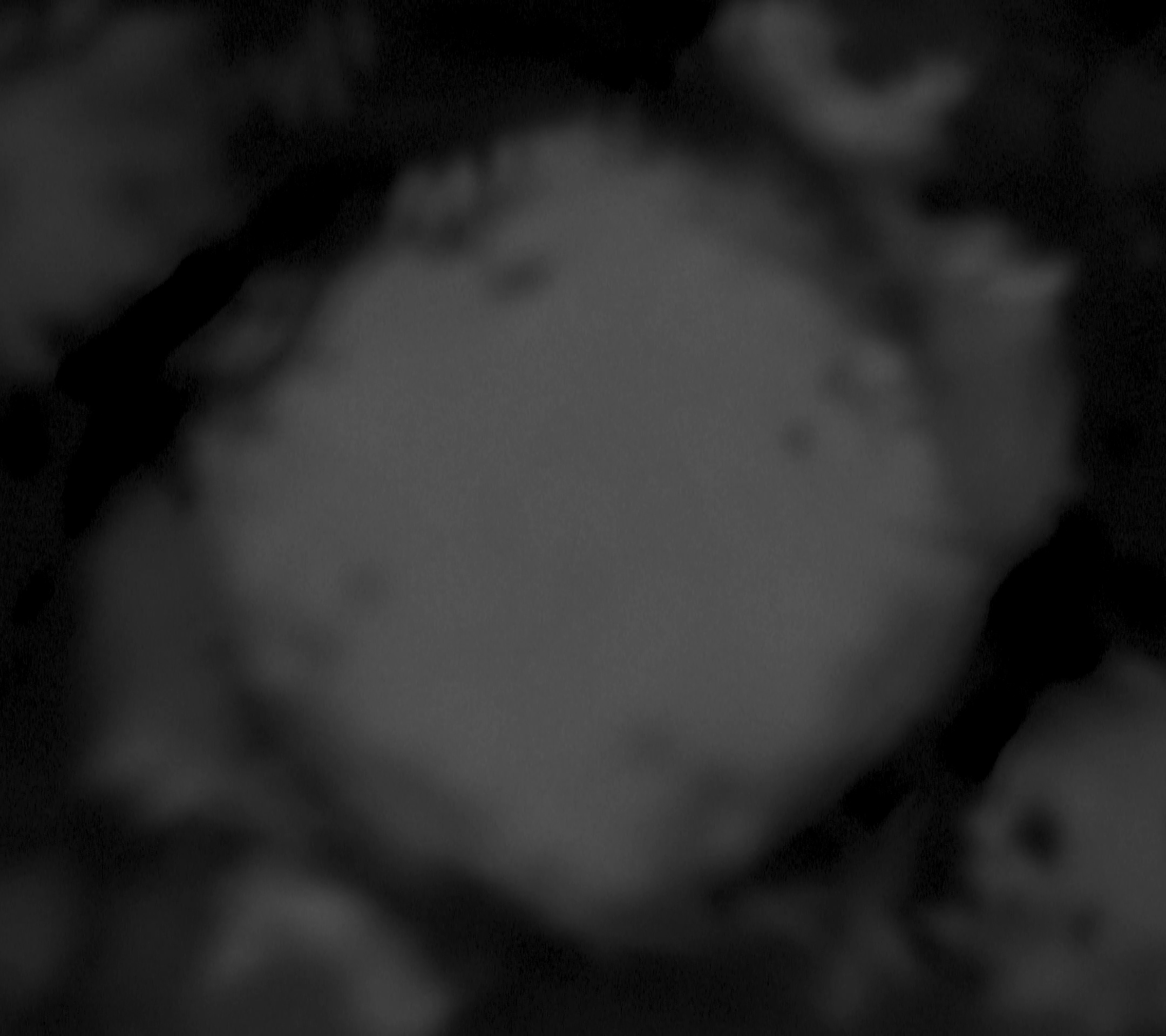 sample projection pattern named Hollw Carcass